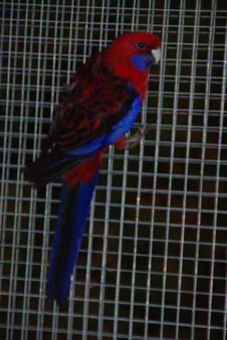IMGP2110.JPG