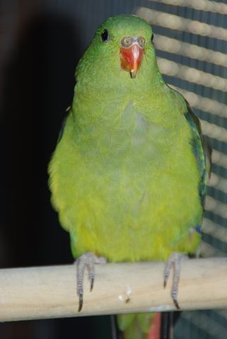 IMGP212000.jpg