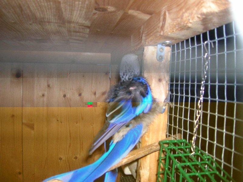 DSCN3839.JPG