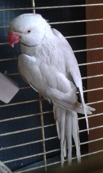 20120610_144209.jpg
