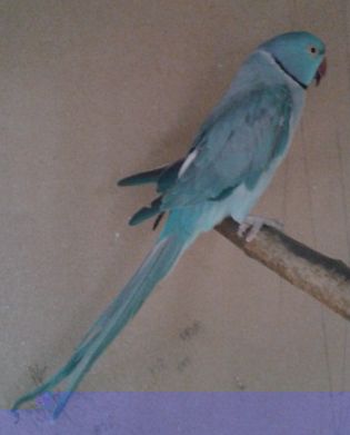 20120610_1438391.jpg
