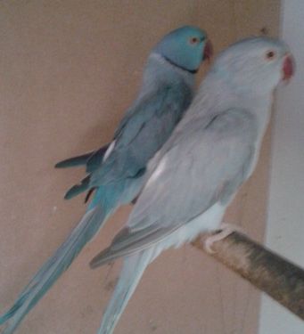 20120610_1438251.jpg