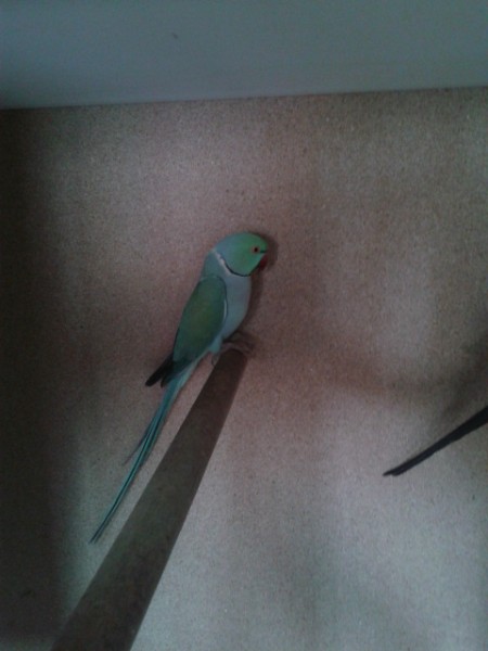 20120610_144705.jpg
