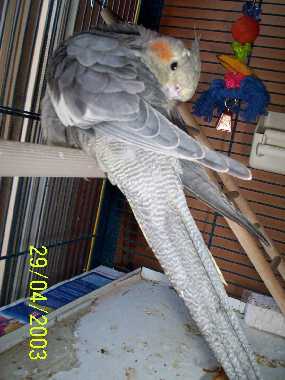 zoÃ© 010.jpg