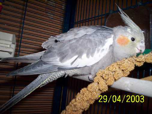 zoÃ© 012.jpg