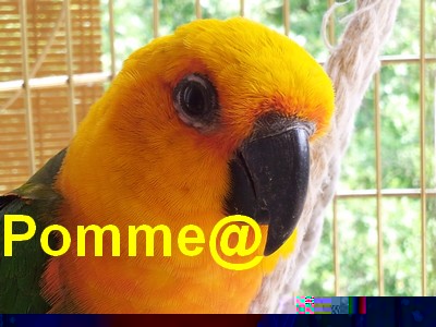20120719_161200.jpg