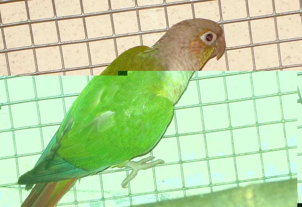 DSC01814 2.jpg