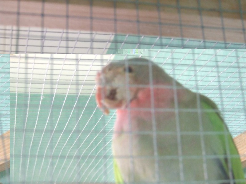 DSCF1623.JPG