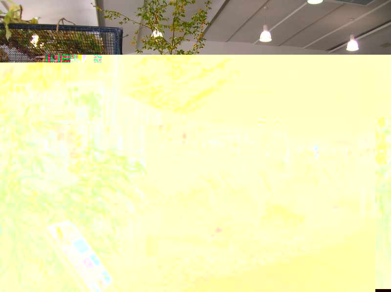 014bis.jpg
