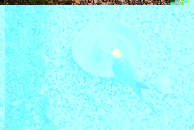 DSC_9586.JPG