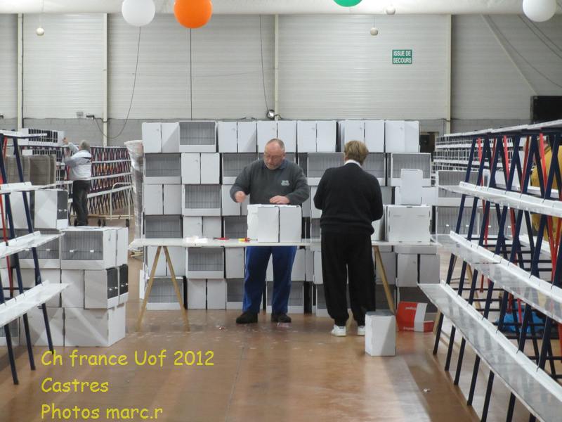 castres_hall_becdroits_montage_cages1.jpg