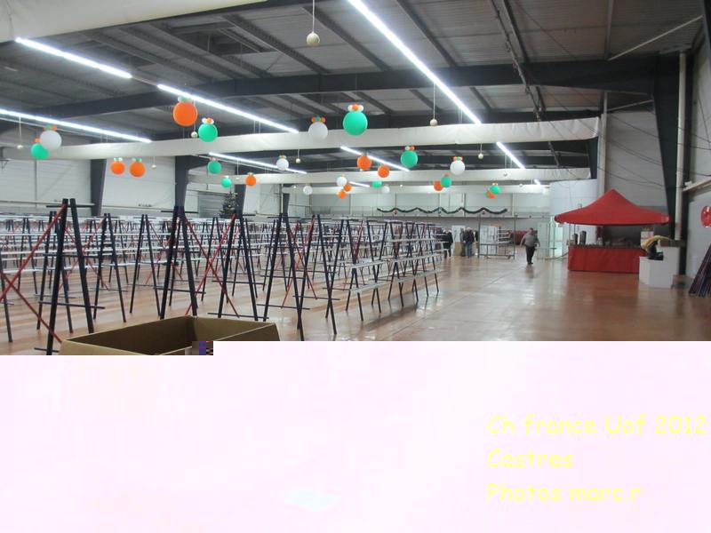 castres_hall_becdroits_travees_portique2.jpg