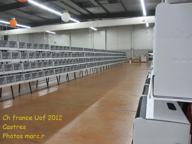 castres_hall_becdroits_travÃ©es1.jpg