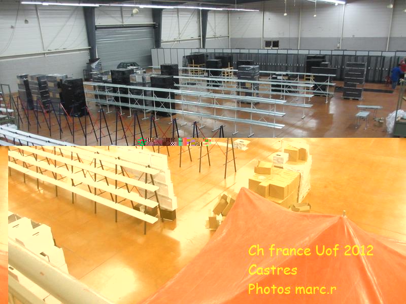 castres_hall_psittacides_1.jpg