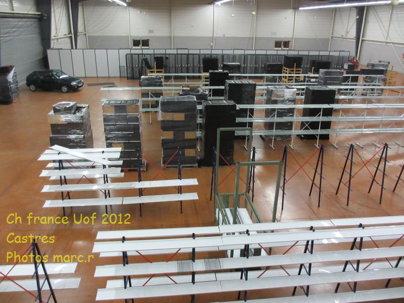 castres_hall_psittacides_2.jpg