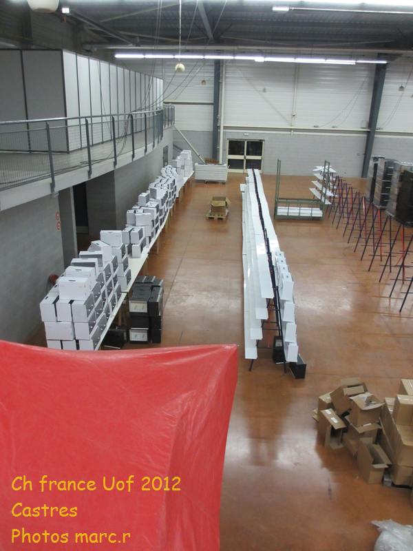 castres_hall_psittacides_4.jpg