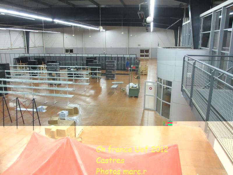 castres_hall_psittacides_5.jpg
