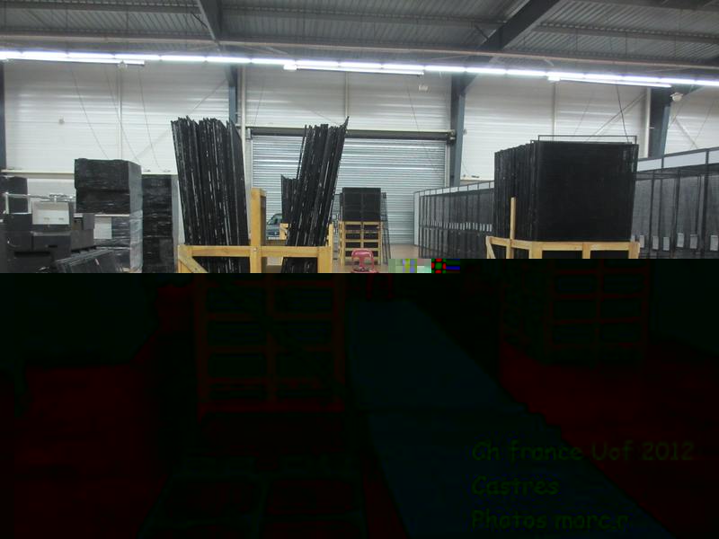 castres_hall_psittacides_montage1.jpg