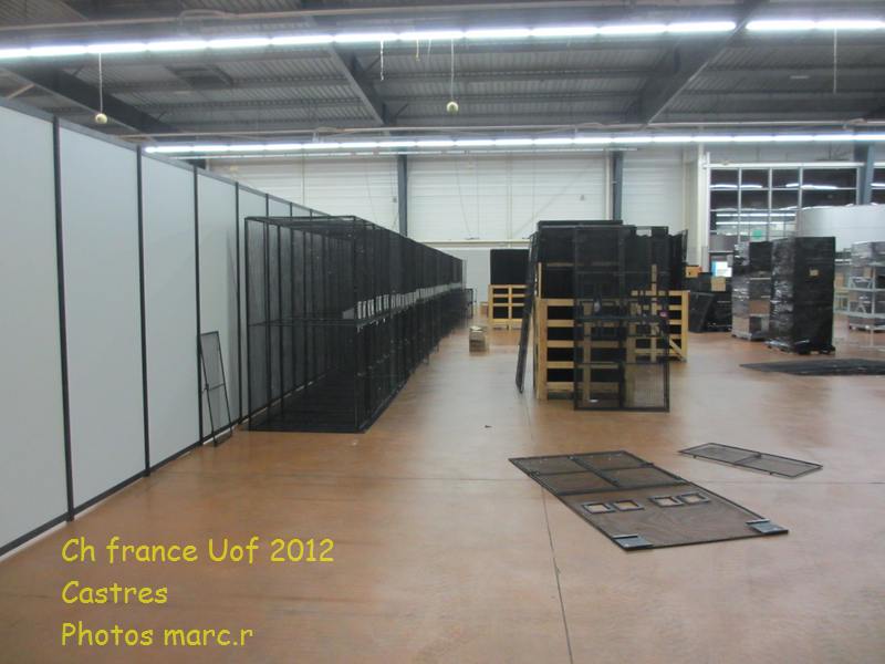 castres_hall_psittacides_montage4.jpg