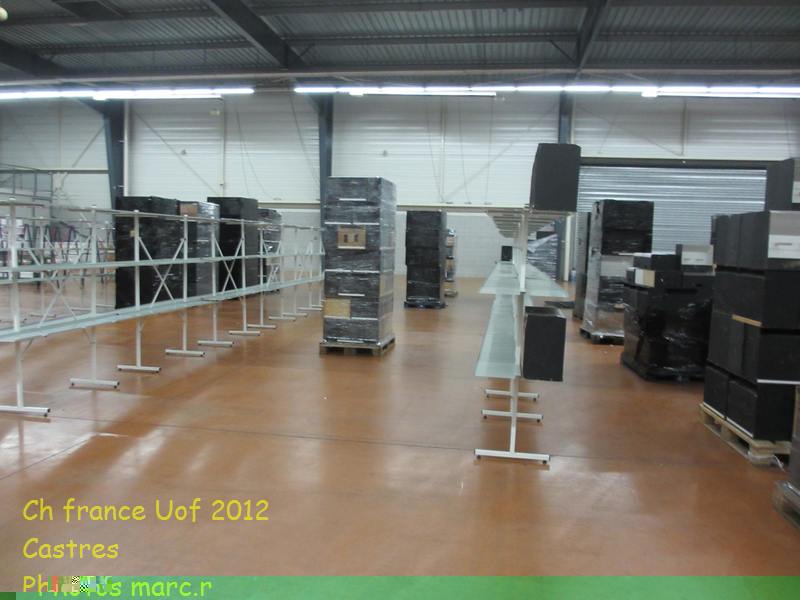 castres_hall_psittacides_travees1.jpg