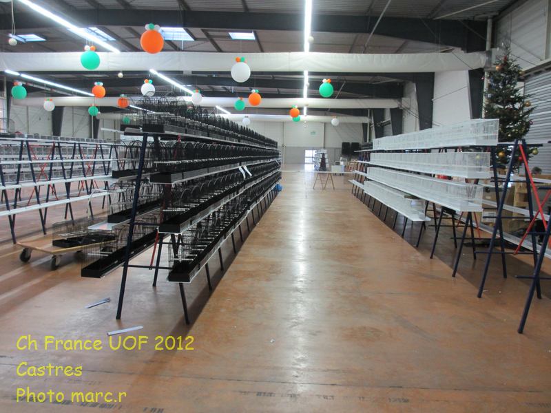 castres_hall_becdroits_2_6.jpg