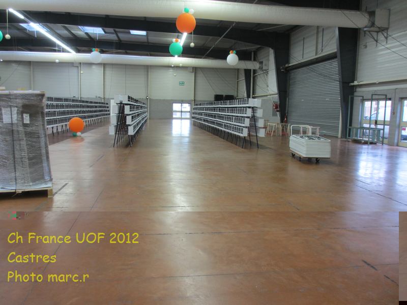 castres_hall_becdroits_2_7.jpg