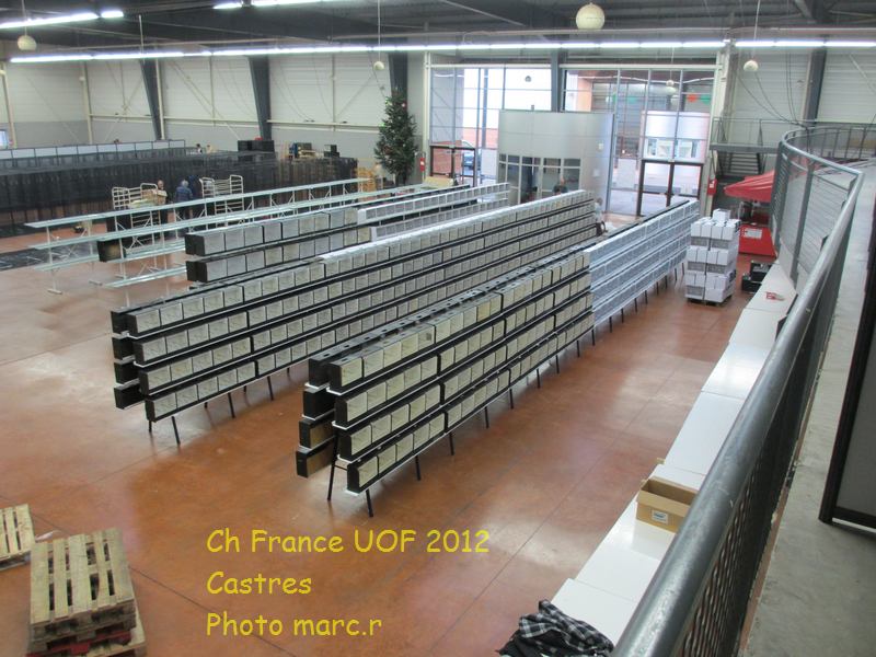 castres_hall_psittacides_2_1.jpg