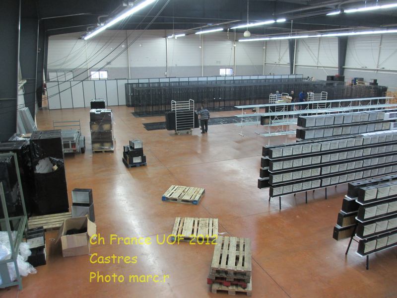 castres_hall_psittacides_2_2.jpg