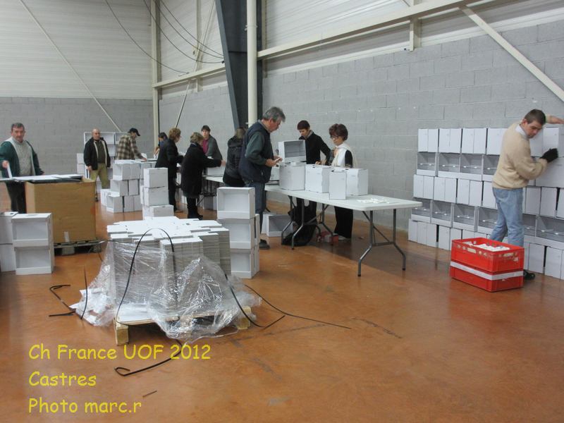 castres_hall_psittacides_2_5.jpg