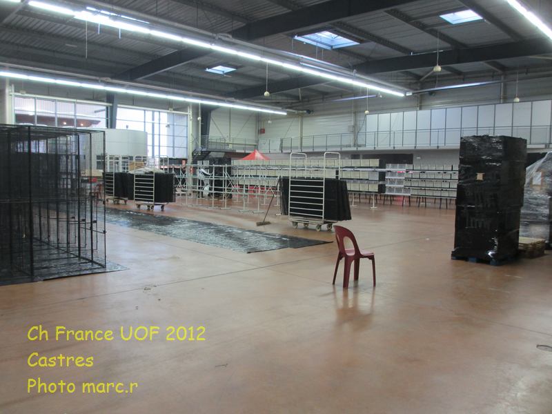 castres_hall_psittacides_2_9.jpg
