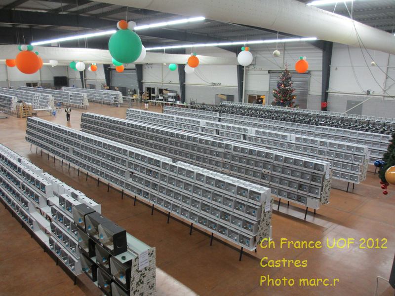 castres_hall_becdroits_3_4.jpg