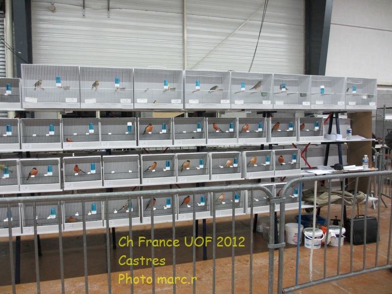 castres_hall_becsdroits_4_2.jpg