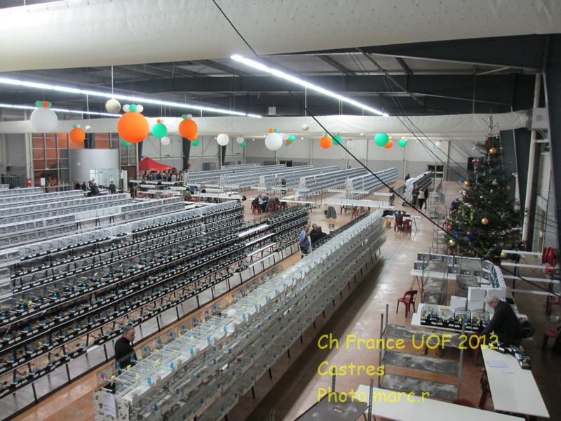 castres_hall_becsdroits_4_4.jpg