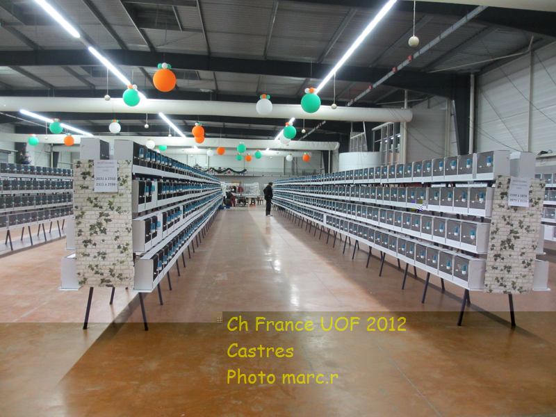 castres_hall_becsdroits_4_7.jpg