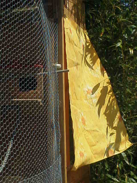 RIM00081.JPG