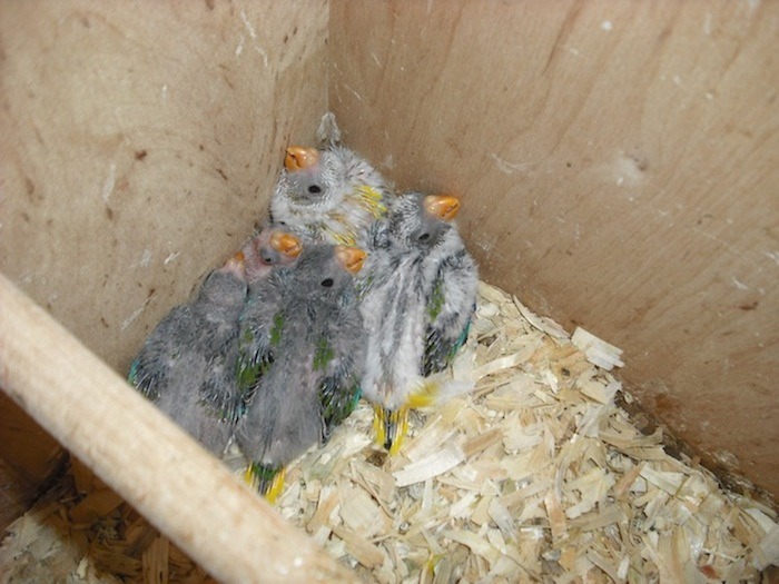 DSCF1005.jpg