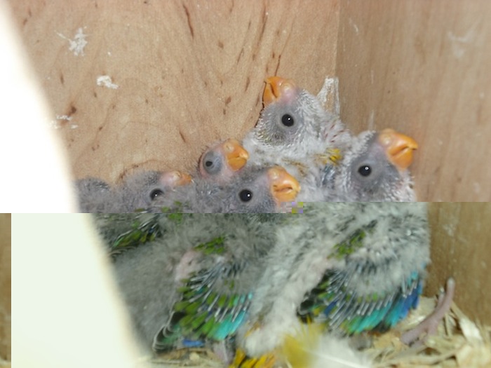 DSCF1007.JPG