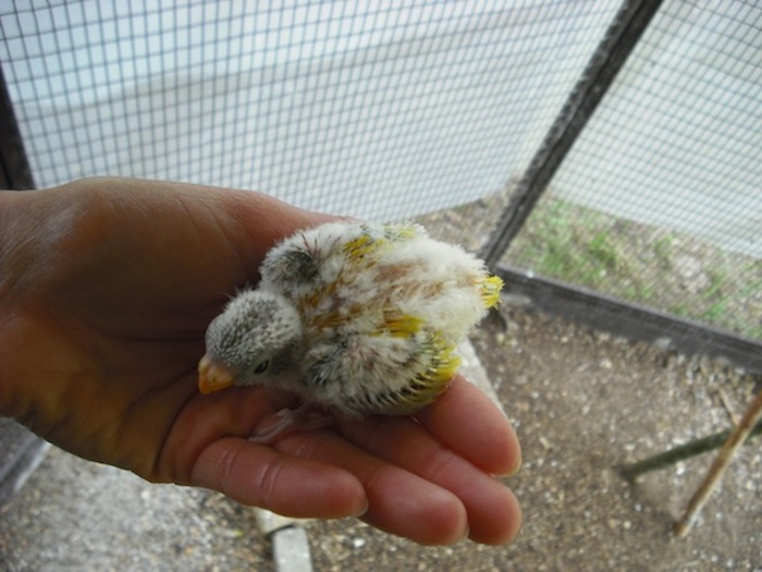 DSCF1008.JPG