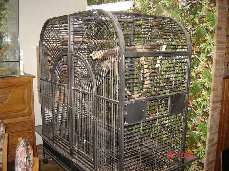 cage2.jpg