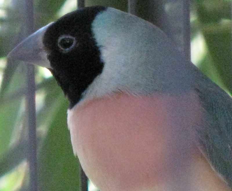 IMG_0042.JPG