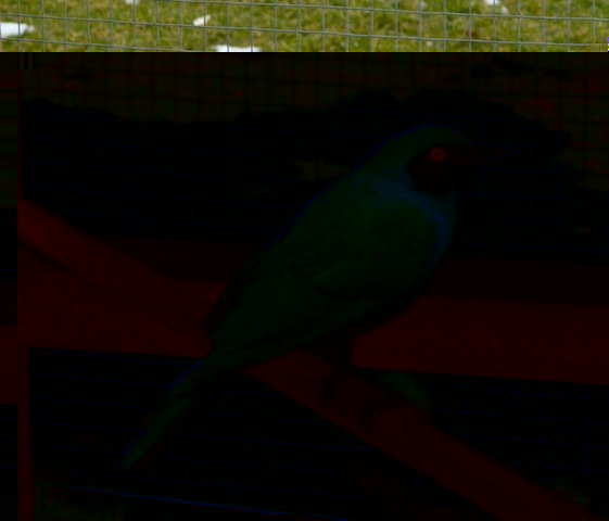DSCN0850.JPG