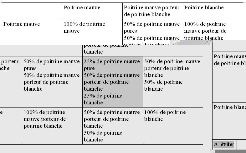 Tableau croisement poitrine.JPG