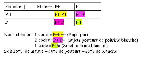 Tableau2.JPG