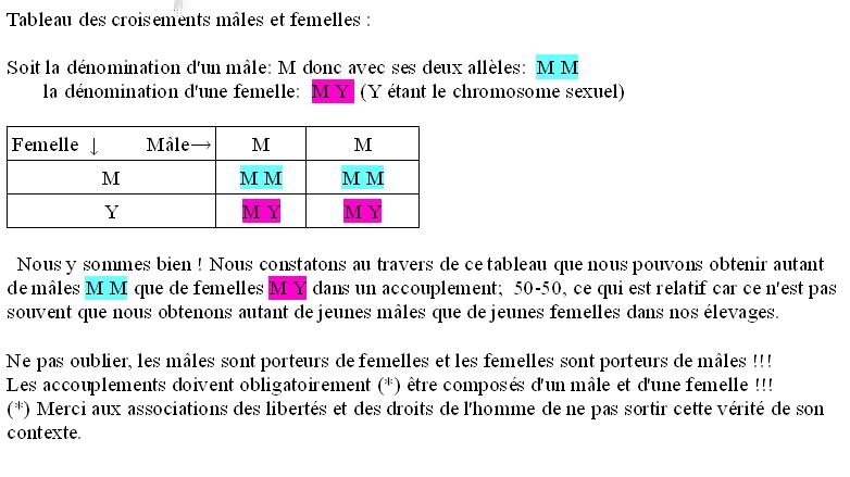 Tableau croisement male et femelle.JPG