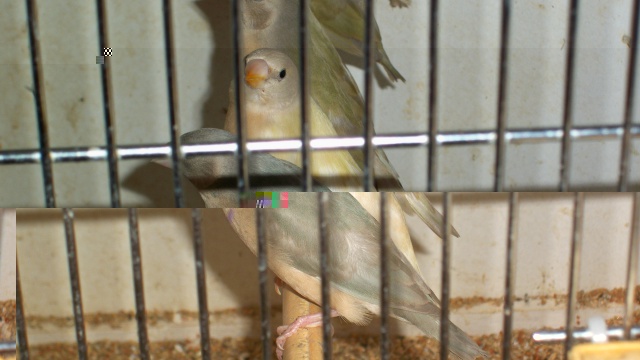 2470672014016.jpg