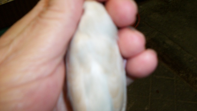 4671052014023.jpg