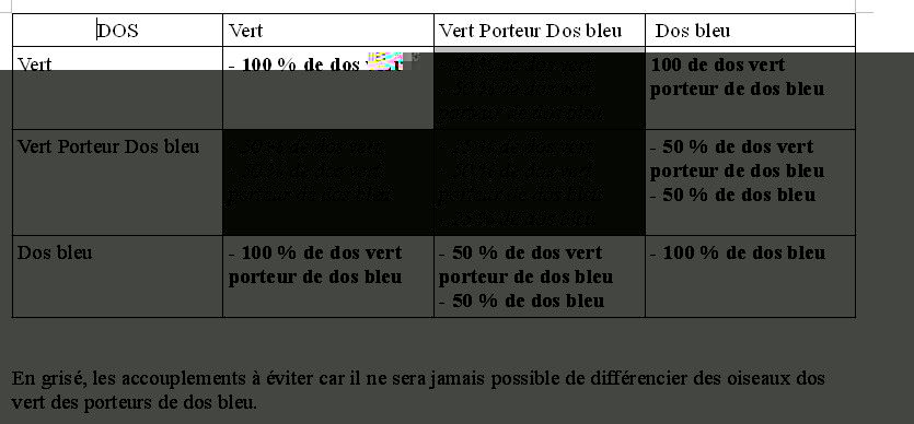 Tableau croisement des dos bleu.JPG