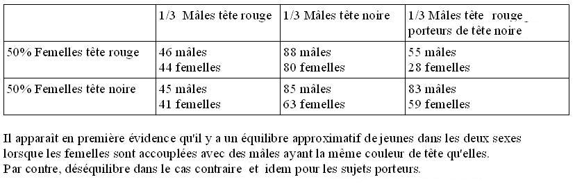 Tableau tÃªtes 2.JPG