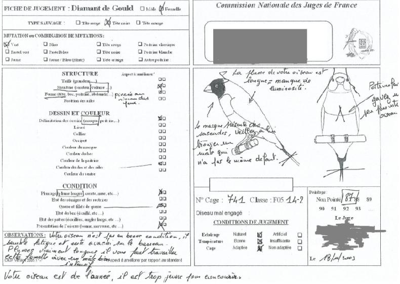 Feuille Jgt renseignÃ©e.JPG