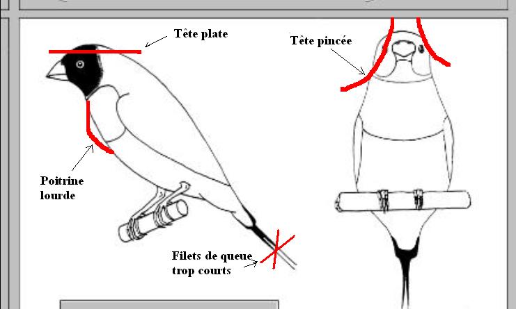 Queqlues exemples de dÃ©faut.JPG